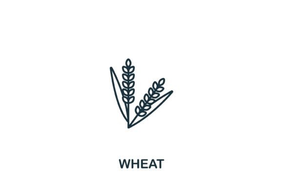 Wheat Icon: A Versatile Graphic for Clean, Modern Design